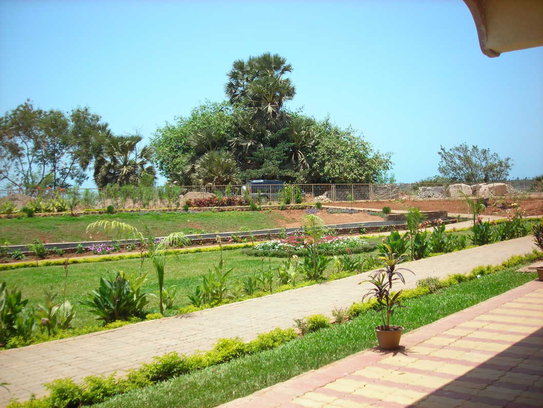Garden and pathways for walking